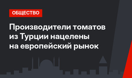 Производители томатов из Турции нацелены на европейский рынок