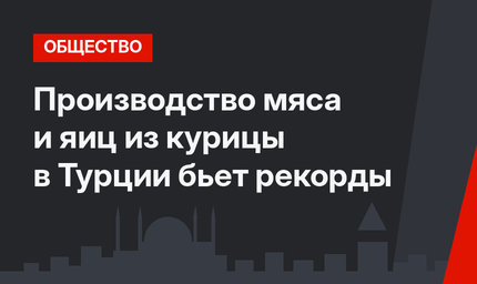 Производство мяса и яиц из курицы  в Турции бьет рекорды