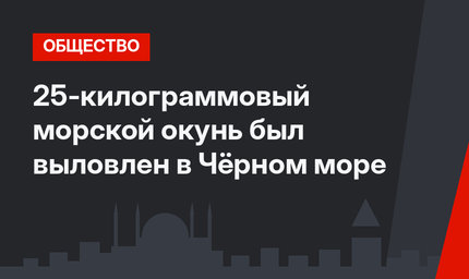 25-килограммовый морской окунь был выловлен в Чёрном море