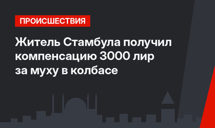 Житель Стамбула получил компенсацию 3000 лир за муху в колбасе