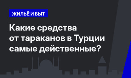  Какие средства от тараканов в Турции самые действенные? 