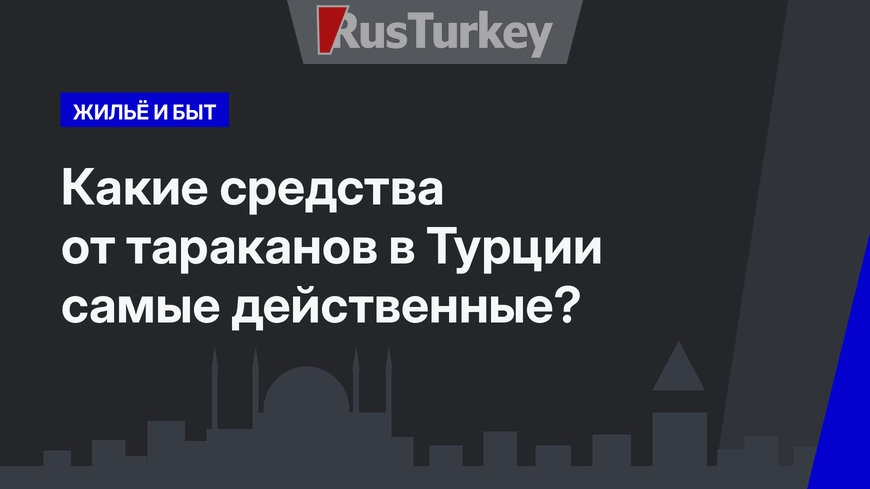  Какие средства от тараканов в Турции самые действенные? 