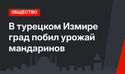 В турецком Измире град побил урожай мандаринов 