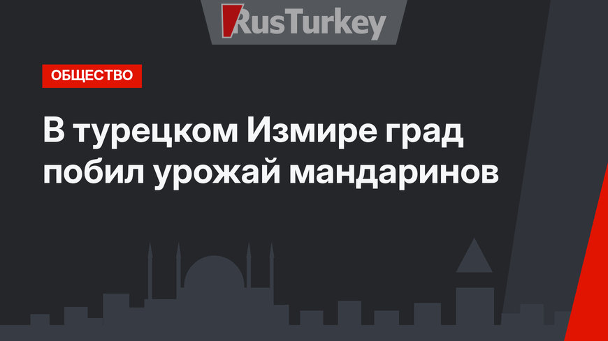 В турецком Измире град побил урожай мандаринов 