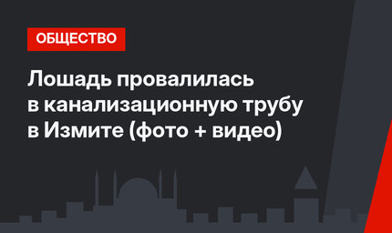 Лошадь провалилась в канализационную трубу в Измите (фото + видео)