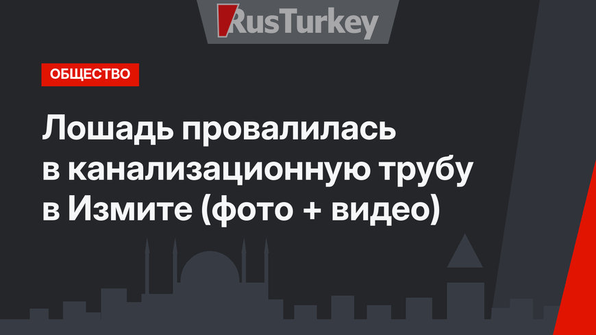 Лошадь провалилась в канализационную трубу в Измите (фото + видео)
