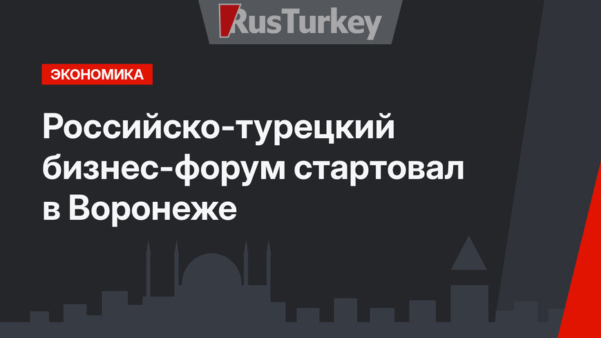 Российско-турецкий бизнес-форум стартовал в Воронеже 