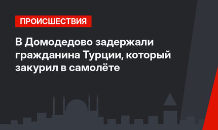 В Домодедово задержали гражданина Турции, который закурил в самолёте 