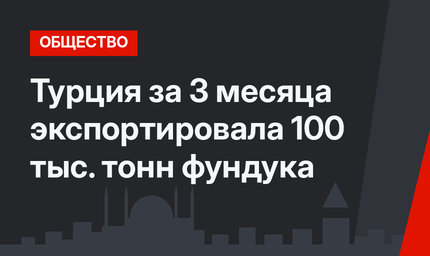 Турция за 3 месяца экспортировала 100 тыс. тонн фундука