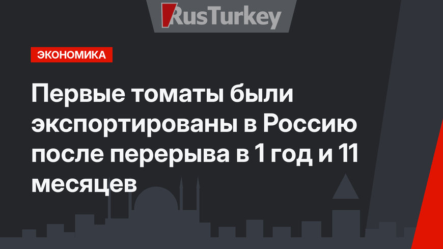 Первые томаты были экспортированы в Россию после перерыва в 1 год и 11 месяцев
