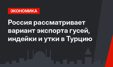 Россия рассматривает вариант экспорта гусей, индейки и утки в Турцию