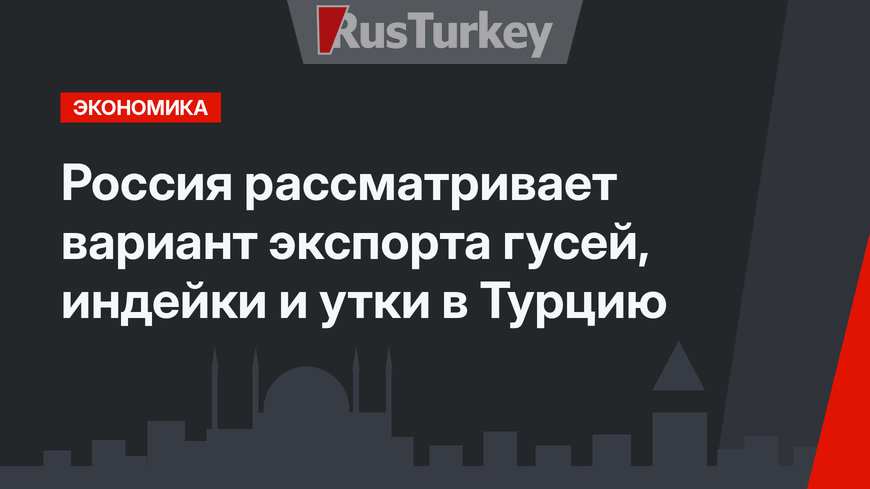 Россия рассматривает вариант экспорта гусей, индейки и утки в Турцию