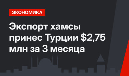 Экспорт хамсы принес Турции $2,75 млн за 3 месяца