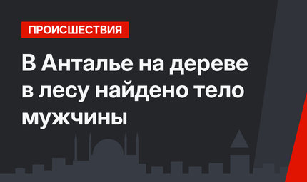 В Анталье на дереве в лесу найдено тело мужчины