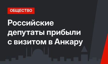 Российские депутаты прибыли с визитом в Анкару