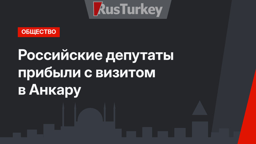 Российские депутаты прибыли с визитом в Анкару