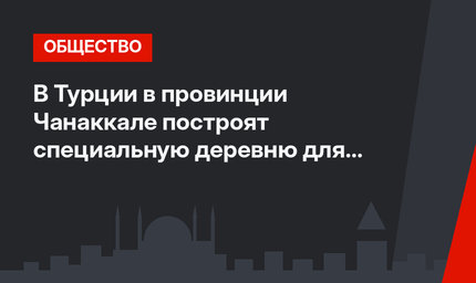 В Турции в провинции Чанаккале построят специальную деревню для кошек  