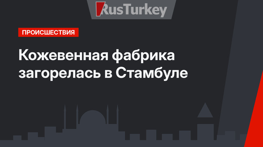 Кожевенная фабрика загорелась в Стамбуле