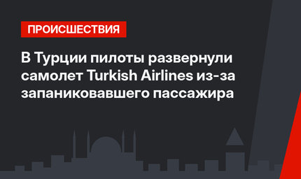 В Турции пилоты развернули самолет Turkish Airlines из-за запаниковавшего пассажира