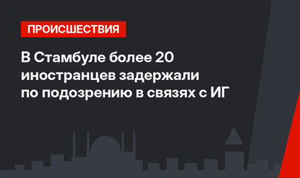  В Стамбуле более 20 иностранцев задержали по подозрению в связях с ИГ