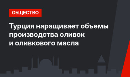 Турция наращивает объемы производства оливок и оливкового масла