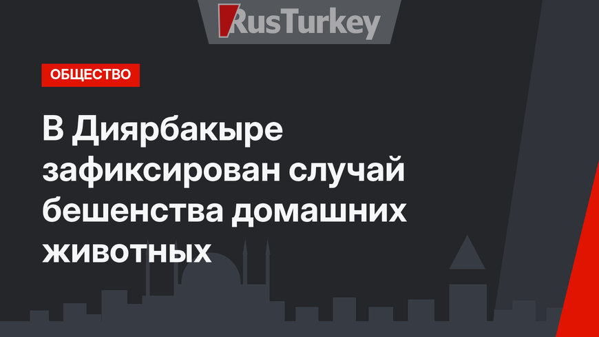 В Диярбакыре зафиксирован случай бешенства домашних животных