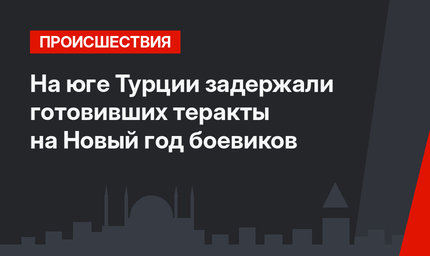 На юге Турции задержали готовивших теракты на Новый год боевиков 