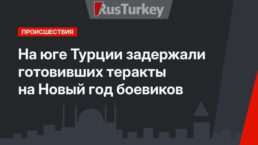 На юге Турции задержали готовивших теракты на Новый год боевиков 