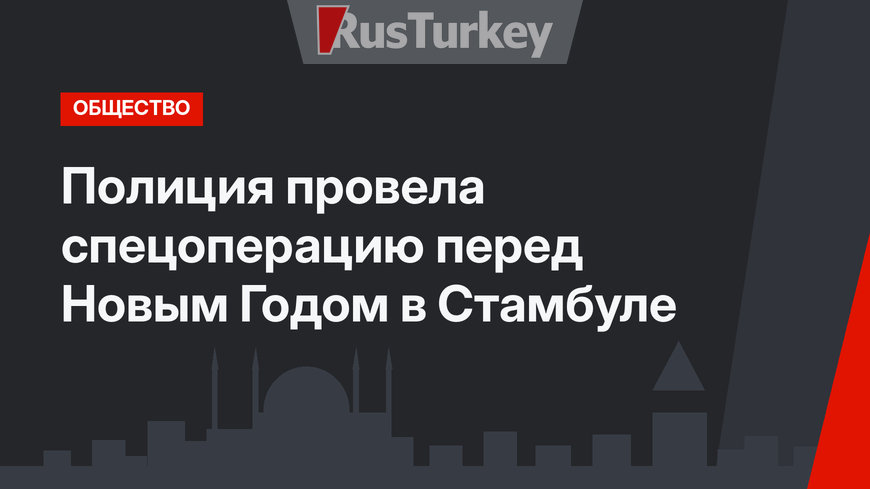 Полиция провела спецоперацию перед Новым Годом в Стамбуле
