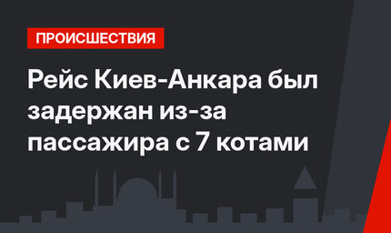 Рейс Киев-Анкара был задержан из-за пассажира с 7 котами