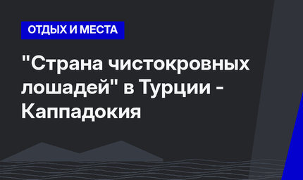 "Страна чистокровных лошадей" в Турции - Каппадокия