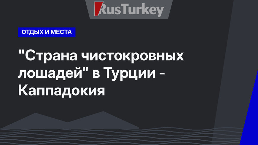 "Страна чистокровных лошадей" в Турции - Каппадокия