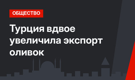 Турция вдвое увеличила экспорт оливок