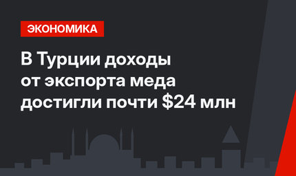 В Турции доходы от экспорта меда достигли почти $24 млн