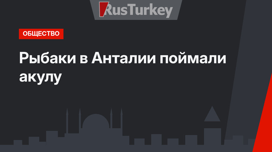 Рыбаки в Анталии поймали акулу