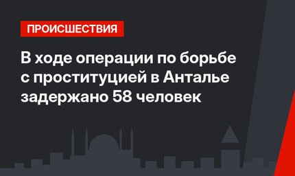 В ходе операции по борьбе с проституцией в Анталье задержано 58 человек