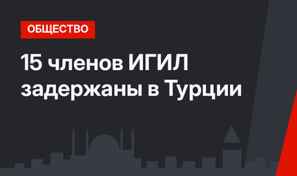 15 членов ИГИЛ задержаны в Турции