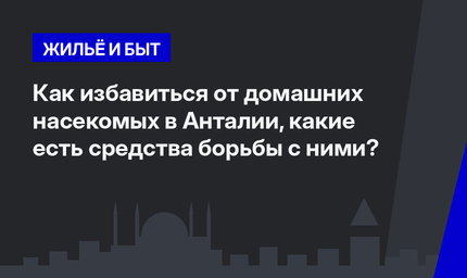   Как избавиться от домашних насекомых в Анталии, какие есть средства борьбы с ними?  