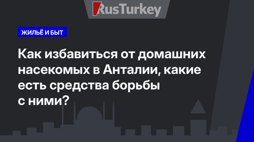   Как избавиться от домашних насекомых в Анталии, какие есть средства борьбы с ними?  
