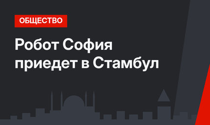 Робот София приедет в Стамбул