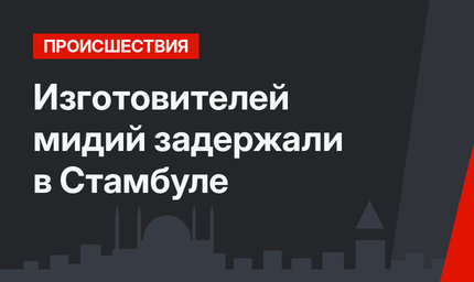 Изготовителей мидий задержали в Стамбуле