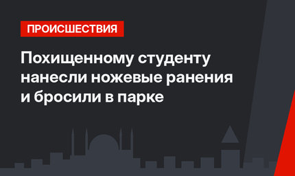 Похищенному студенту нанесли ножевые ранения и бросили в парке