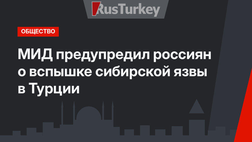 МИД предупредил россиян о вспышке сибирской язвы в Турции