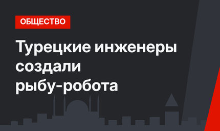 Турецкие инженеры создали рыбу-робота
