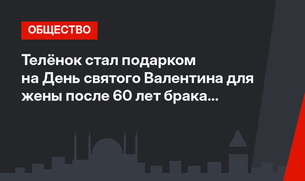 Телёнок стал подарком на День святого Валентина для жены после 60 лет брака (фото)