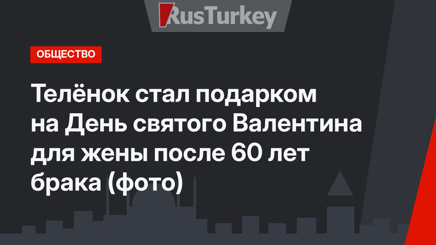 Телёнок стал подарком на День святого Валентина для жены после 60 лет брака (фото)