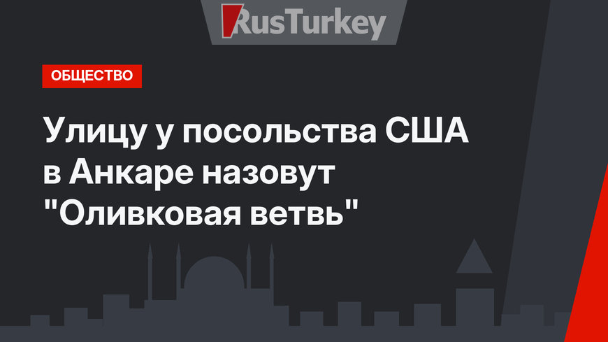 Улицу у посольства США в Анкаре назовут "Оливковая ветвь"