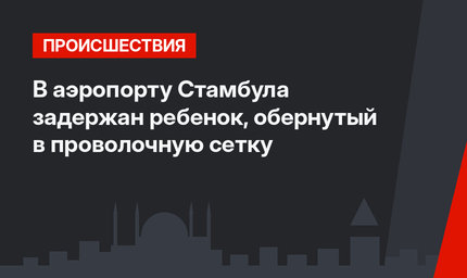 В аэропорту Стамбула задержан ребенок, обернутый в проволочную сетку