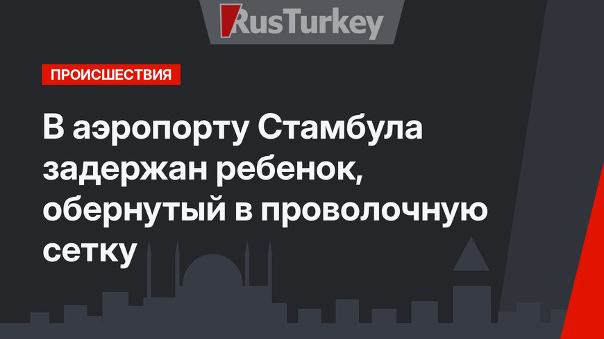 В аэропорту Стамбула задержан ребенок, обернутый в проволочную сетку