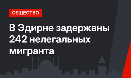 В Эдирне задержаны 242 нелегальных мигранта